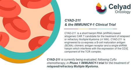 Celyad Oncology On Twitter Multiplemyeloma Mm Has A High Unmet