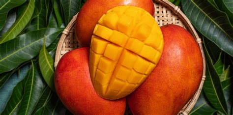 Mango Season Underway in Australia - Orchard Tech