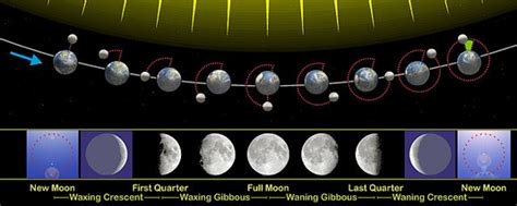 EarthSky | Lengths of lunar months 2021