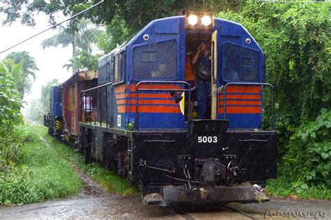 Philippine National Railways Del Maahas Rd Crossing Flickr