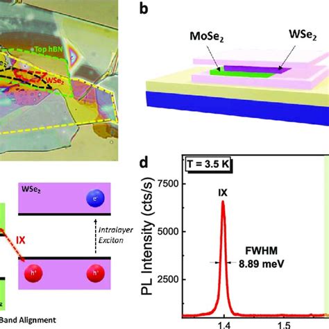 Wse 2 Mose 2 Heterobilayer And Pl Characteristics Optical Microscope