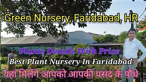 Plant Nursery Visit Best Plant Nursery In Faridabad Nursery Visit