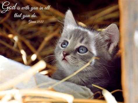 725 best Animals + Bible Verses images on Pinterest