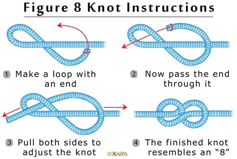 How to Tie a Figure 8 Knot? Uses, Steps, Variations & Video Guide