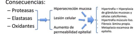 Fichas de aprendizaje Tema 1 y 2 Fisiopatología de la ventilación