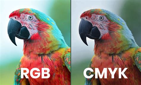 Metodo Colore RGB E CMYK Quali Sono Le Differenze Agenzia Di