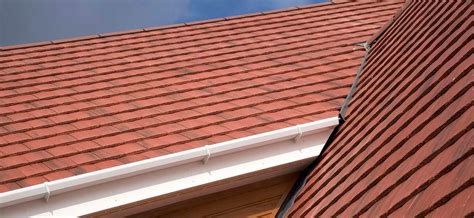 Roof Maintenance 101 Essential Tips To Extend The Lifespan Of Your