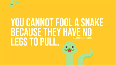 50 Snake Puns That Are Too Hisss-terical for Words - PunPress