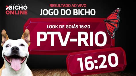 Resultado Do Jogo Do Bicho Ao Vivo Agora Resultado Ptv Rio