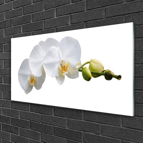 Brayden Studio Glasbild Floral Blumen Wayfair De