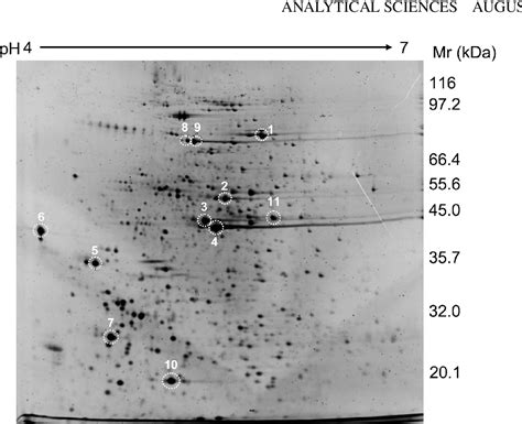 Figure 1 From Proteomics Of The Rodent Malaria Parasite Using Matrix