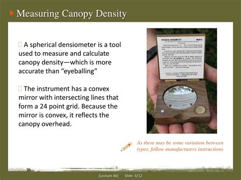 PPT Module 4 Canopy Management And Thinning PowerPoint Presentation