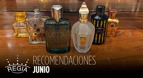 Nuestras Recomendaciones De Perfumes Nicho Junio Perfumes Nicho