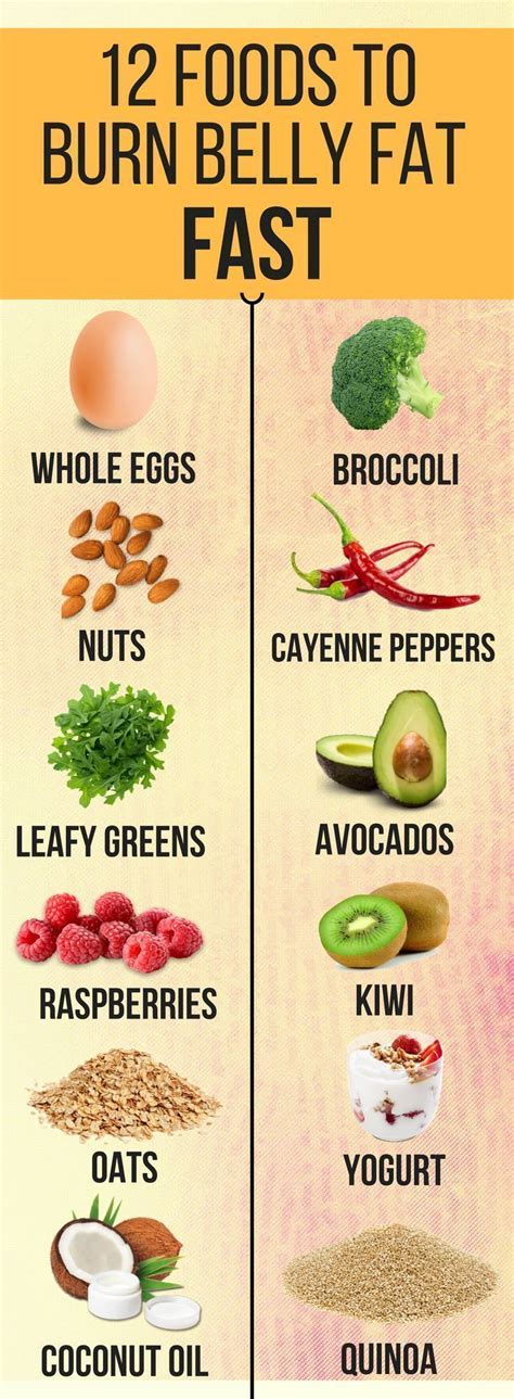 Foods That Help Burn Belly Fat Examples And Forms