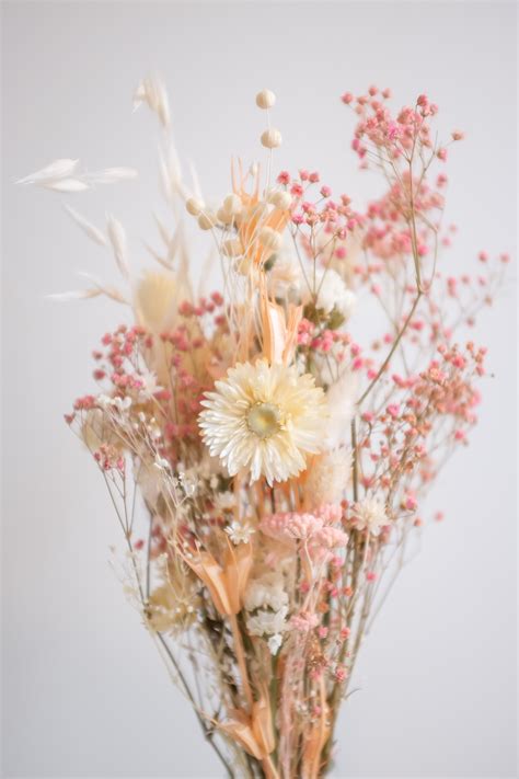 Bouquet De Fleurs Séchées Dried Flower Arrangements Dried Flowers