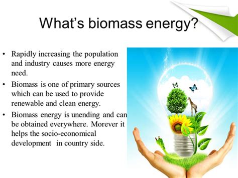 What’s The Biomass Energy’s Impact On Ecological Environment