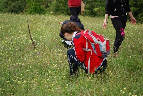 Celebrating The Fascination Of Plants Day In The Mediterranean Iucn