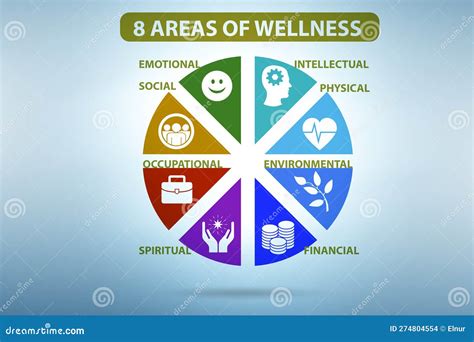 Concept Of Eight Areas Of Wellness Stock Illustration Illustration Of