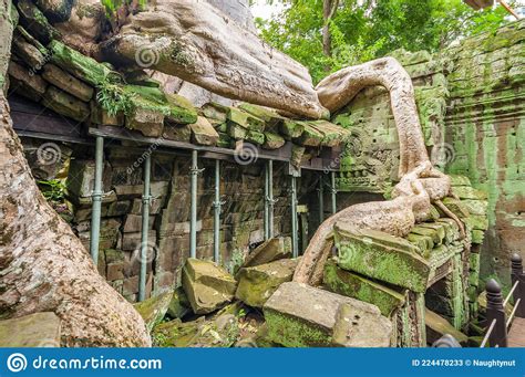 Ancient Buddhist Khmer Temple In Angkor Wat Cambodia Ta Prohm Prasat