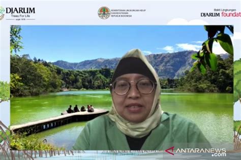 KLHK Indonesia Perlu Rehabilitasi 701 Ribu Hektare Kawasan Mangrove