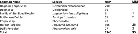 Nisp And Mni Of Identified Small Cetacean Species Download