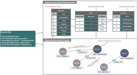 Différences De Représentation Et De Comportements En Réponse à Une