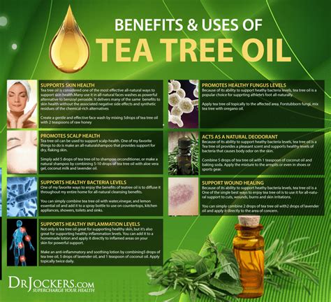 Top 17 Tea Tree Oil Uses And Benefits