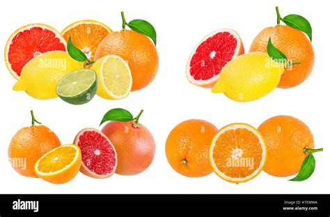 Citrus Fruit Set Orange Grapefruit Lime Lemon Isolated On White