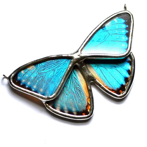 Real Butterfly Wing Jewelry Sterling By Housethatcrowbuilt