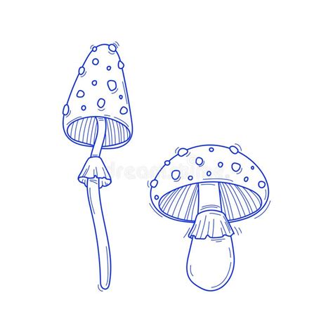 Muscaria Mushrooms Vector Stock Illustrations 737 Muscaria Mushrooms