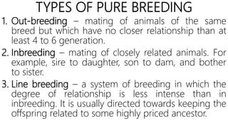 Exploring the Different Methods of Animal Breeding: A Comprehensive Guide