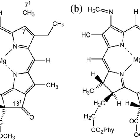 A Structure Of Chlorophyll A And B Interaction Of Chlorophyll A With