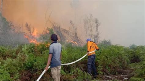 Kebakaran Lahan Di Tapan Pesisir Selatan Telah Memasuki Hari Ketiga