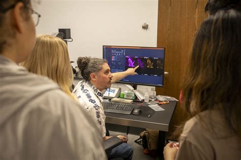 Scientists Discover a Possible Environmental Trigger for Parkinson’s