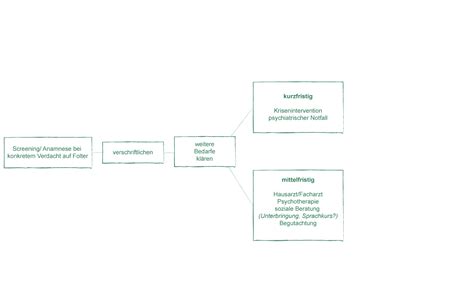 Case Management Folterfolgen