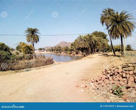 Sealed Good Coconut Water Pani Talab Nadi Pahad Stock Photo - Image of water, nadi: 172913972