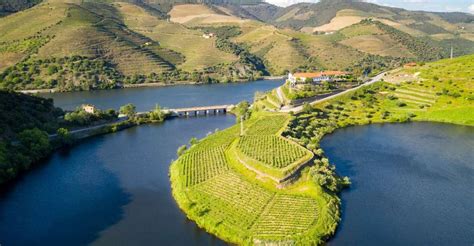 From Porto Private Douro Valley Tour With Booking Service