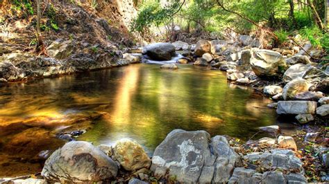 Papel De Parede Panorama Floresta Animais Agua Rocha Natureza