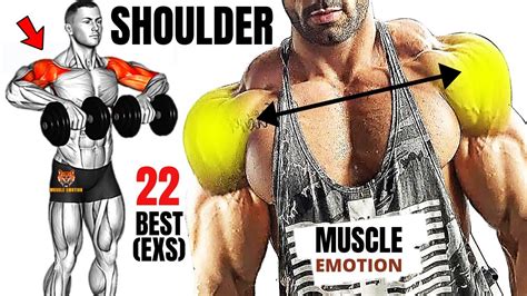 Best Shoulders Workout With Barbell Dumbells And Cable Youtube