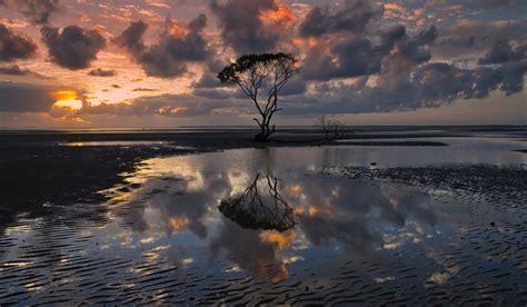 Wallpaper Sunlight Trees Landscape Sunset Sea Water Nature