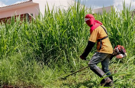 Apucarana Concede Prazo Para Ro Agem E Limpeza De Terrenos Baldios