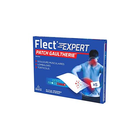 Flect Expert Patch Gaultherie X Effet Froid Et Chaud