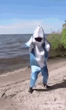 Shark Gif