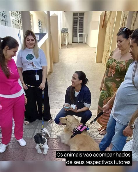 Pet Terapia Leva Alegria A Pacientes Da Santa Casa De Vinhedo Social