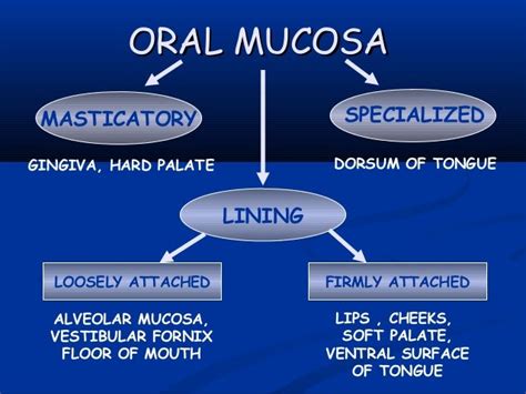 Oral Mucosa