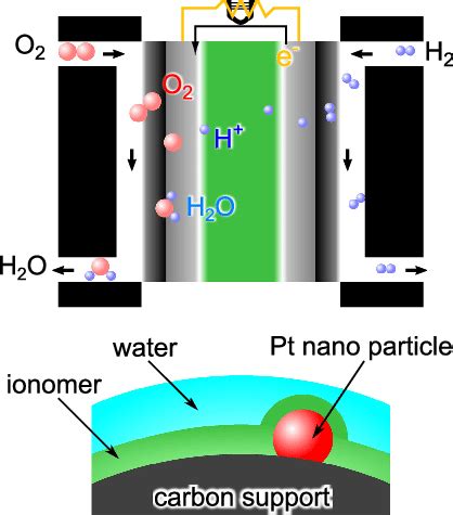 Color Online Schematic Drawing Of A Polymer Electrolyte Fuel Cell