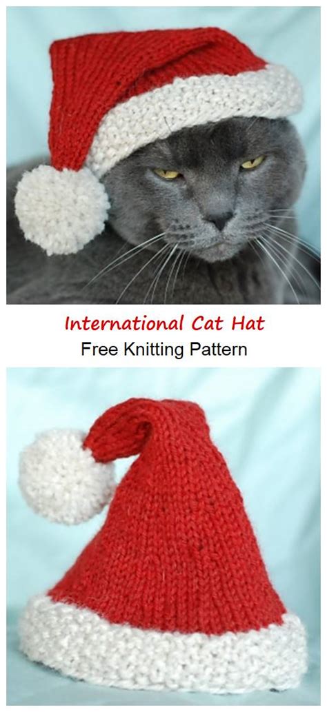 International Cat Hat Free Knitting Pattern Your Crafts