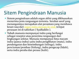 Power Point Anatomi Dan Fisiologi Sistem Pengindraan Manusia Ppt