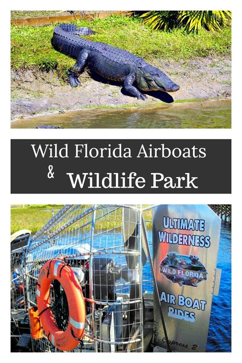 Wild Florida Airboats and Wildlife Park – A Cork, Fork, & Passport