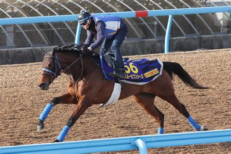 【有馬記念 調教チェッカーズ】豪快さナンバーワン⑮スルーセブンシーズ 凱旋門賞の疲れ微塵もなし｜競馬ニュース｜競馬予想のウマニティ